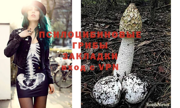 бошки Абдулино