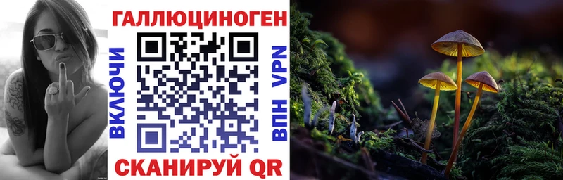 Галлюциногенные грибы Psilocybe Пыталово